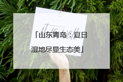 山东青岛：夏日湿地尽显生态美